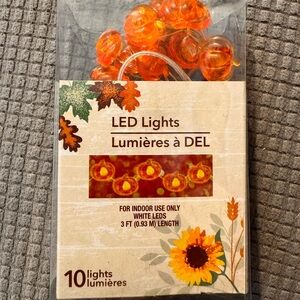 Orange LED String Lights